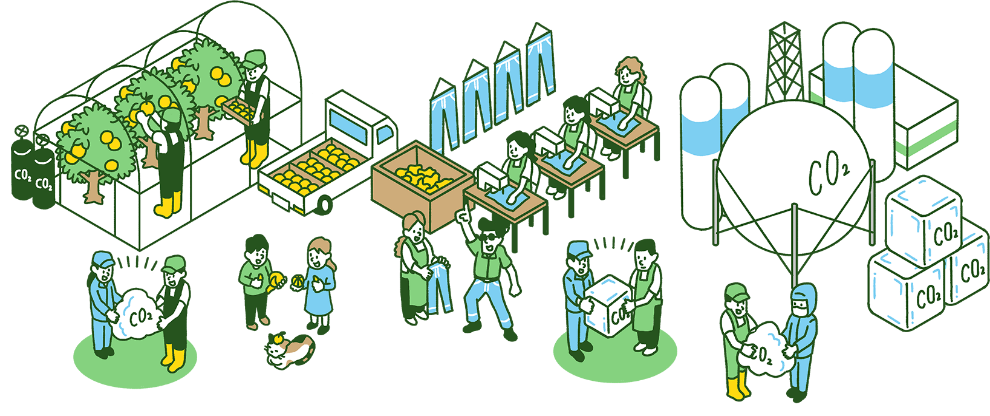 CO₂で育てたみかんがジーンズに⽣まれ変わる