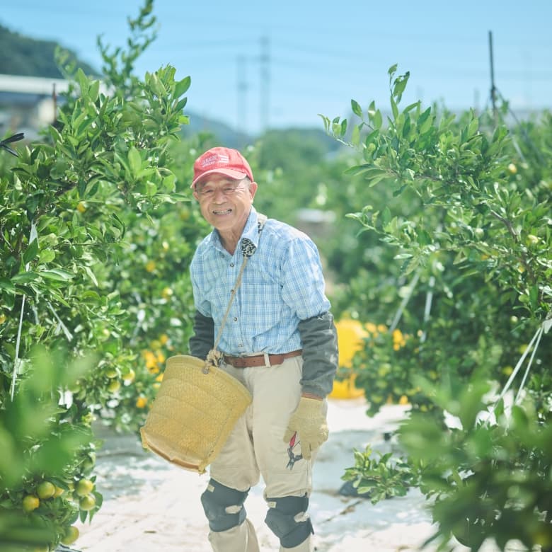 日本特殊陶業地元CO₂