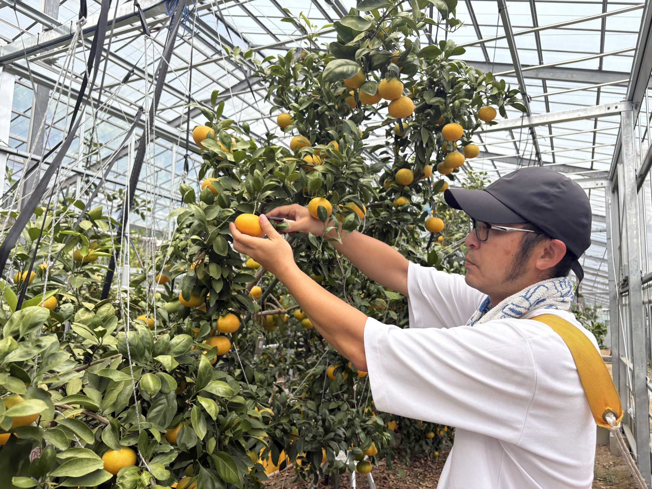 記事サムネイル